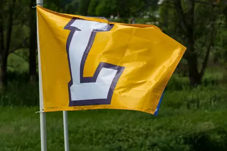 Golf flag