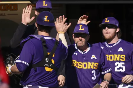 Baseball high five in dugout