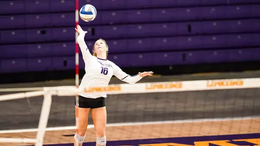 delaney dilfer serving