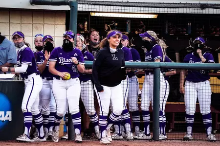 softball bench