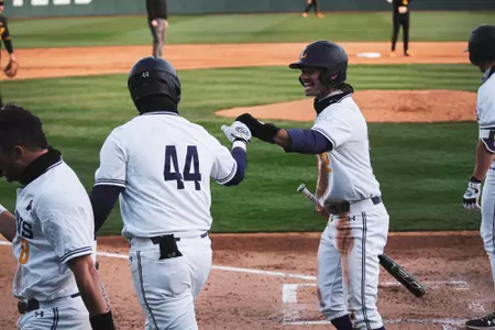 Baseball Celebration