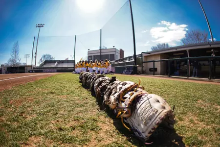 softball gloves