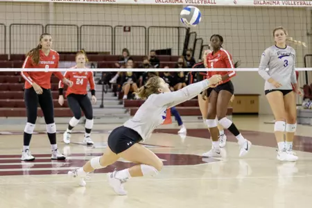 libby steinhard dig