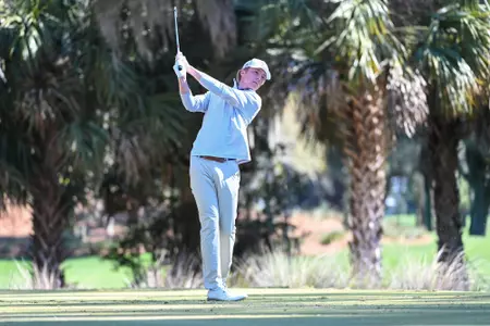 holan