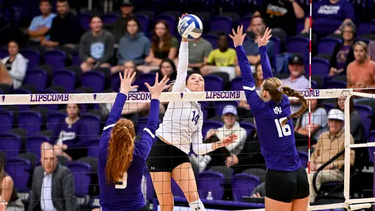 VB_Recap16