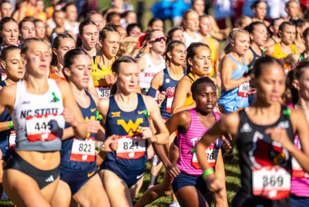 WXC