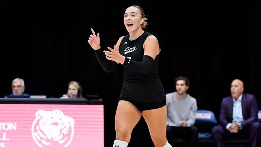 VB_Recap14