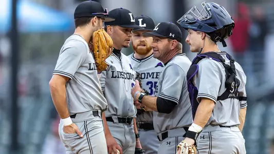 Mound visit baseball