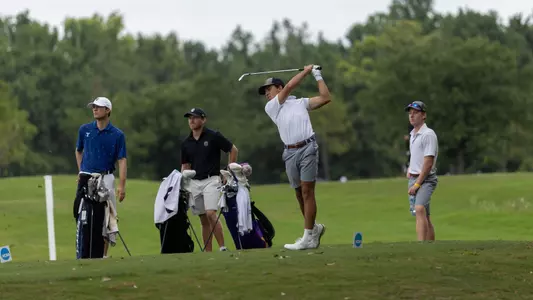 Alejandro Rodriguez Swinging