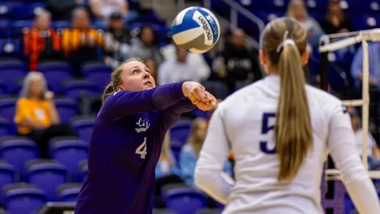 Libby Steinhart dig