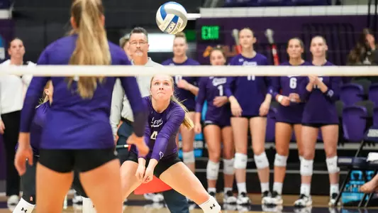 Libby Steinhart dig