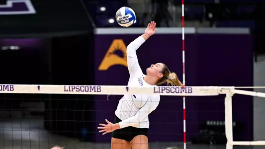 VB_Recap13