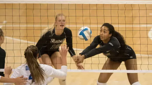 Anete Brinke, Ashley Murray