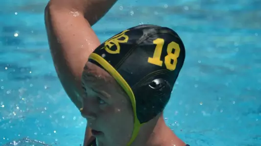 Coriann Snyder