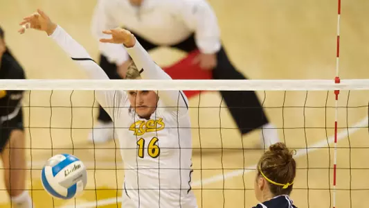 Delainey Aigner-Swesey