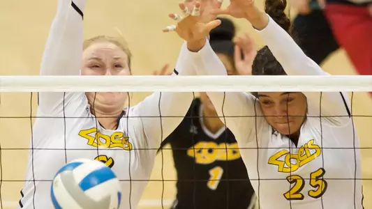 Alex Reid, Haleigh Hampton