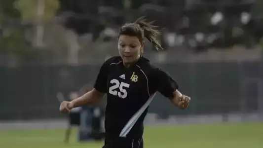 2007 Cat Gray Action