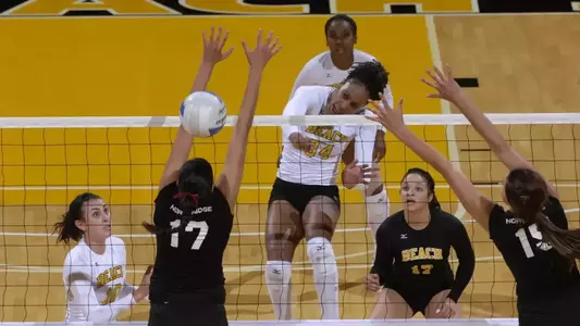 Crimes Kill Wide Team