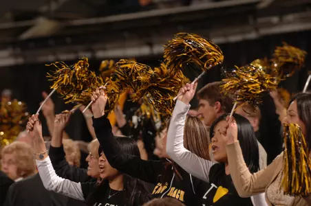 Faculty and Staff will receive free admission in 2009-10.