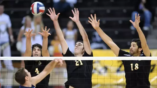 Pestolesi_Alexander_Bittner