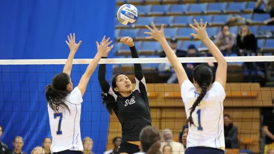 Senior setter Ashley Lee leads the 49ers as the preseason pick in the Big West.