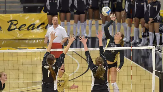 Delainey Aigner-Swesey