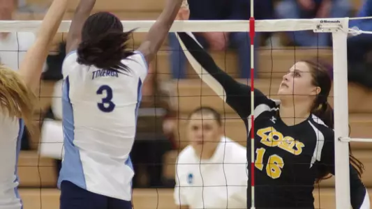 Delainey Aigner-Swesey