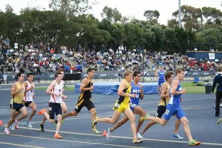 Matt Maldonado