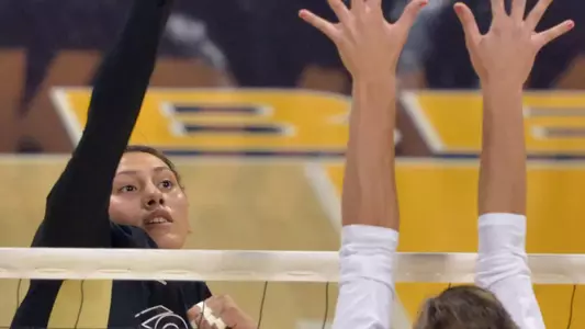 8/20/11 - Alma Serna (24) of the Long Beach State Women's Volleyball team as they play UMBC during the Long Beach State Mizuno Invitational at the Pyramid.
Long Beach went on to win 3-0.
Photos by Steven Georges/Long Beach State