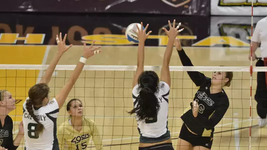 Delainey Aigner-Swesey