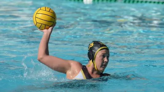 Coriann Snyder