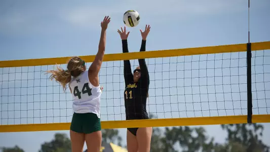 Delainey Aigner-Swesey