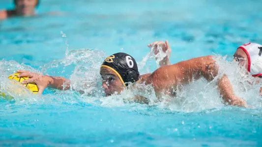 Ricardo Guimares
