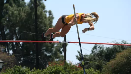 Jodi Lambert