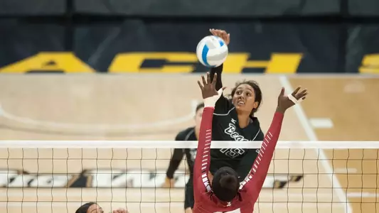 Ashley Murray had 14 kills with no errors, hitting .737 to lead LBSU to a sweep at Harvard.