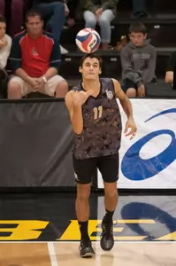 TJ DeFalco