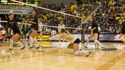 Hailey Harward, Team