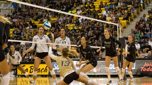 Hailey Harward, Team