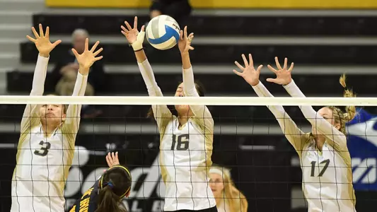 Peyton Grahovac, YiZhi Xue, Megan Kruidhof