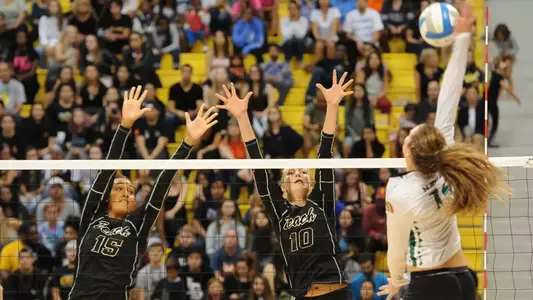 Ashley Murray, Anete Brinke