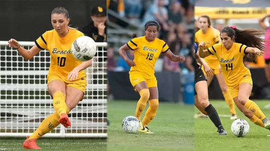 Gonzales, Rangel, Frohmet Graphic