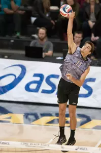 TJ DeFalco