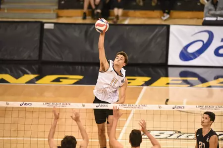 TJ DeFalco