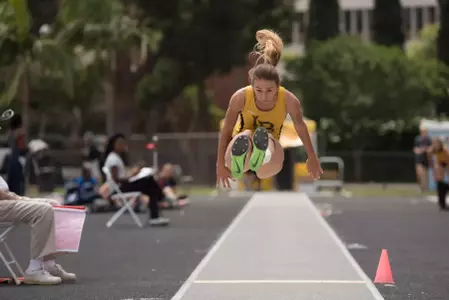 Nikki Puerner