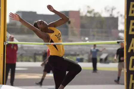 Diana Acholonu