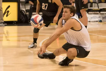 TJ DeFalco