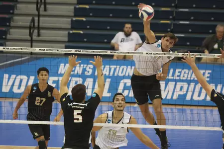TJ DeFalco