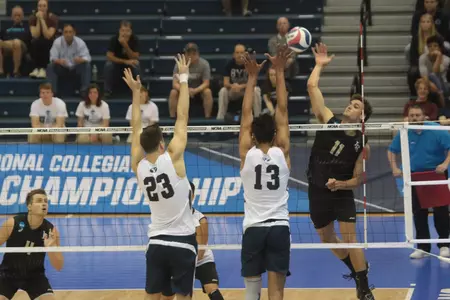 TJ DeFalco