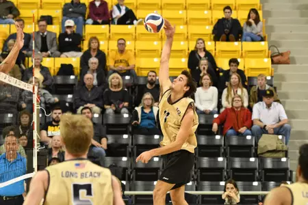 TJ  DeFalco (11)