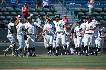 Baseball Celebration